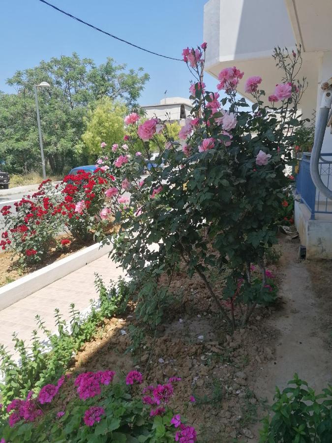 Apartmán Elva Creta